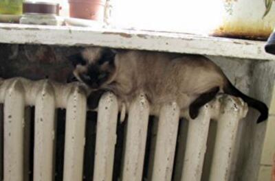 В Украине резко повысили тарифы на отопление