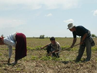 Названы самые востребованные профессии в 2015-2018 гг 