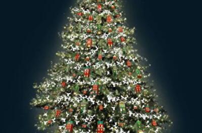 Главная елка Киева и Украины будет живой и "теплой" 