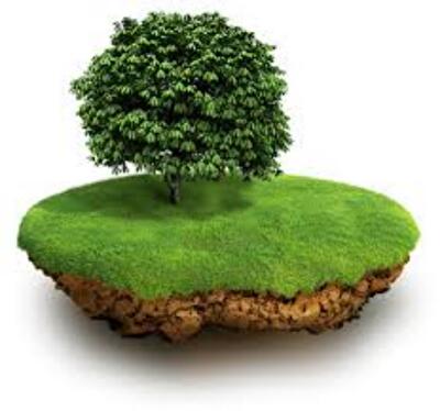 У нардепа-«регионала» отобрали землю под Киевом