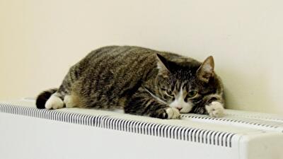 Украинцы за месяц взяли лишь 66 кредитов на покупку негазовых котлов