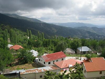 Каждая четвертая сделка с недвижимостью на Кипре совершается иностранцем