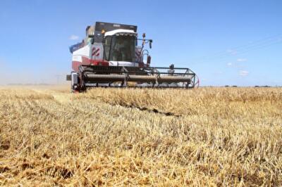 Уроки последствий агрогигантомании