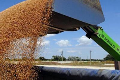 Торг неуместен