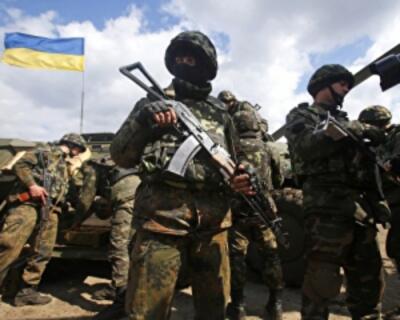 Участники АТО получили почти 2,5 тыс. земельных участков от государства 