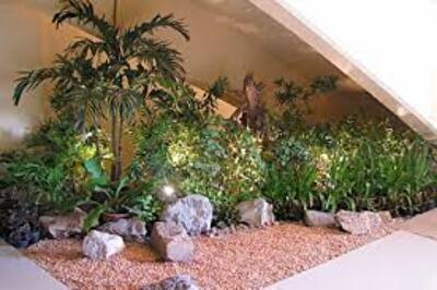 Свет в зимнем саду