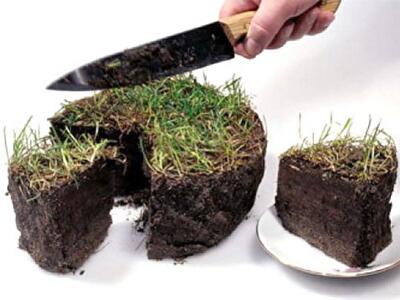 Особенности проведения земельных аукционов