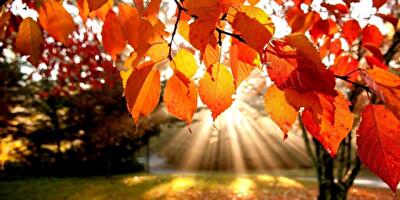 В Украину "бабье лето" придет с 25 сентября