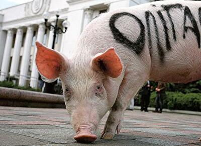 Бей олигархов – спасай Украину! 