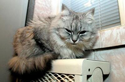 Как украинцам сэкономить на электричестве и воде 