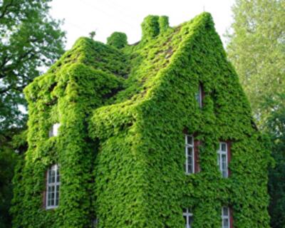 Стандарты энергоэффективных домов: Effinergie, Minergie и Passivhaus