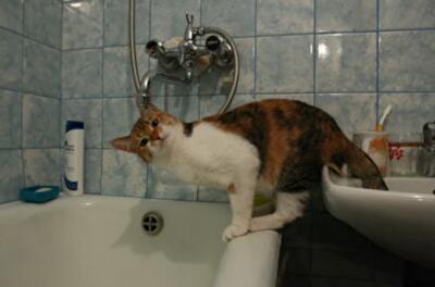 Почему киевляне сидят без горячей воды 