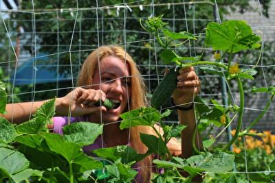 Итоги августа: цены готовятся к взлету