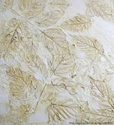 Внимание - на стены