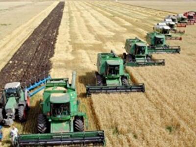 Отсутствие российского газа пока существенно не повлияло на аграриев