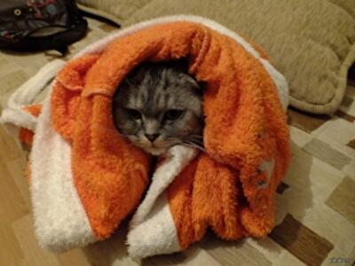 В Украине начался утеплительный бум