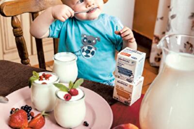 Выбираем правильную закваску 