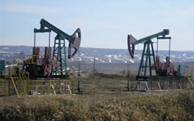 Рентные платежи будут давать бюджету 14 млрд грн в год