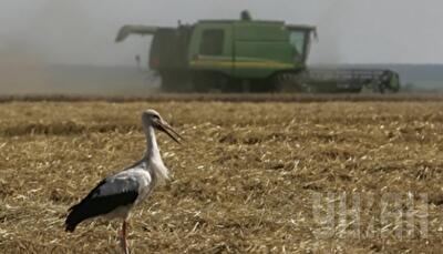 Голода в Украине не будет?