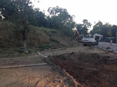 На одесских склонах рубят деревья. Фото