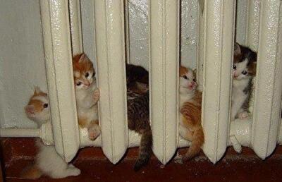 Выделенного лимита газа Киеву мало для качественного отопительного периода