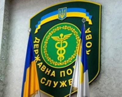 Налоговая реформа: реальные изменения или мнимые обещания