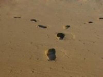 Реорганизация жилищно-строительного кооператива в объединение сособственников многоквартирного дома