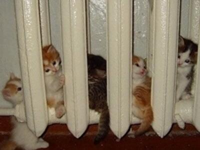 Как украинцам утеплить дом в преддверии зимы