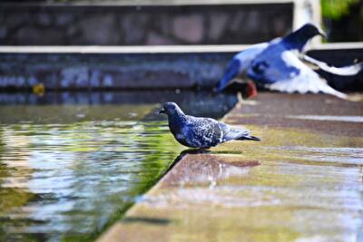 Жары в августе уже не будет