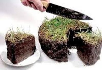 Прокуратура обнаружила захватчиков побережья и сельскохозяйственных угодий