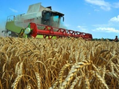 Кабмин пожалел аграриев и застройщиков