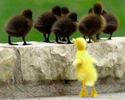 Борьба с дискриминацией по-американски: как в США защищаются права арендаторов и покупателей недвижимости