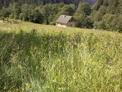 У Земельного кадастра появились новые функции