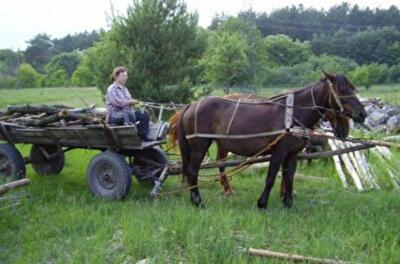 За цену двухкомнатной квартиры можно купить дом площадью 100 квадратных метров