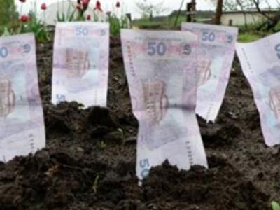 Налог на землю нужно уплатить до 22 августа