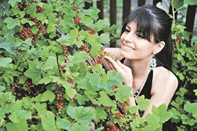 Худеем на ягодной диете