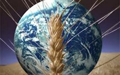 Украина ставит целью стать мировым лидером на рынке продовольствия