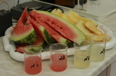 Какие фрукты и овощи могут заменить воду