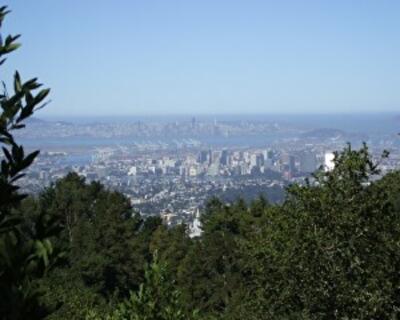 Рейтинг самых быстрорастущих рынков недвижимости США