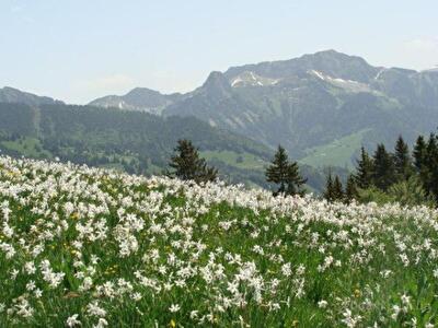 Отдых на майские: что, где, почем?