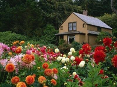 Как арендовать дом на лето под Киевом