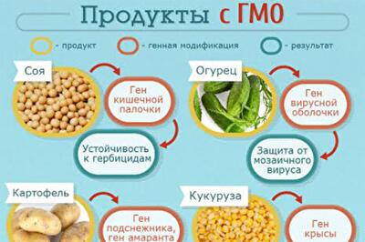 Как с помощью кузнечиков, медуз и вирусов производят продукты с ГМО