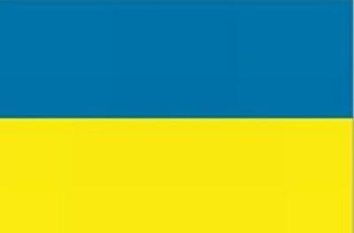 Украину можно объединить, дав больше свободы регионам