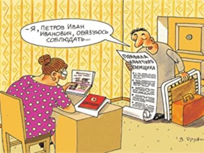 "Сдаю квартиру. Но только если с вами коты" 