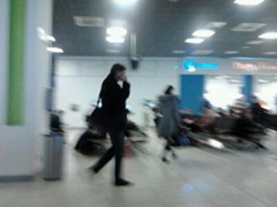 Вони втікають! Окрім Царьова, у віп-терміналах аеропорту в Жулянах помічені Бондаренко, Левченко і Бахтеєва