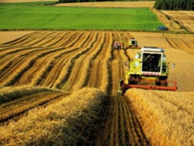 В Украине упростили систему регистрации аренды земельных паев