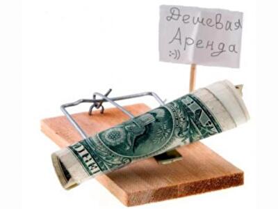 Черная утка: риэлтеров-мошенников будут определять ежеквартально