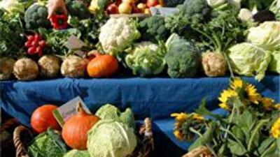 Каким странам больше всего нужны украинские продукты