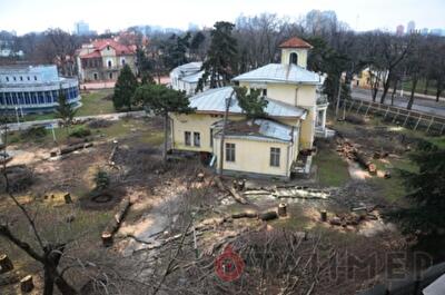 Вырубленный парк «Магнолии» оценили в 600 тысяч гривен. Фото