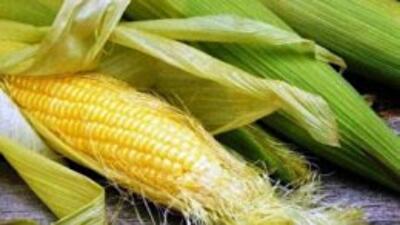 Какую продукцию Украина будет экспортировать в Китай